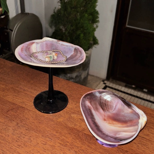 Shellscape Catch-All Tray