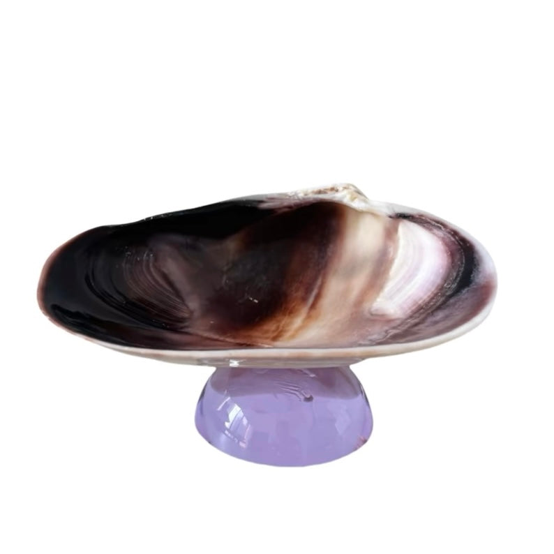 Shellscape Catch-All Tray