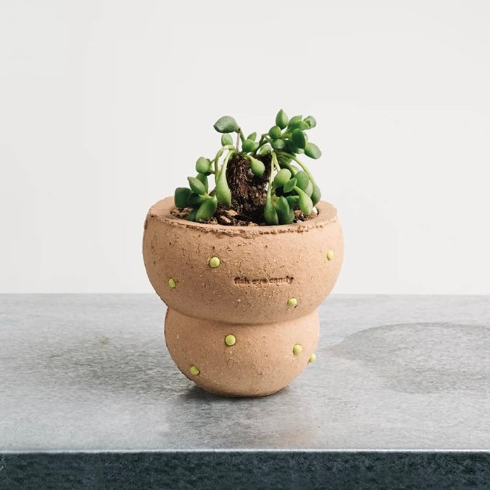 The Bagel Planter