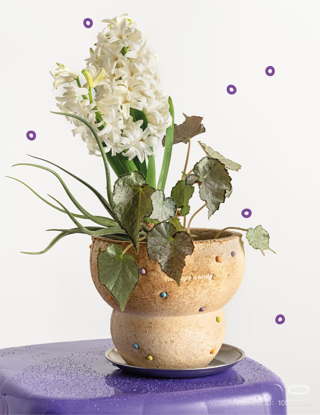 Planters and Vases