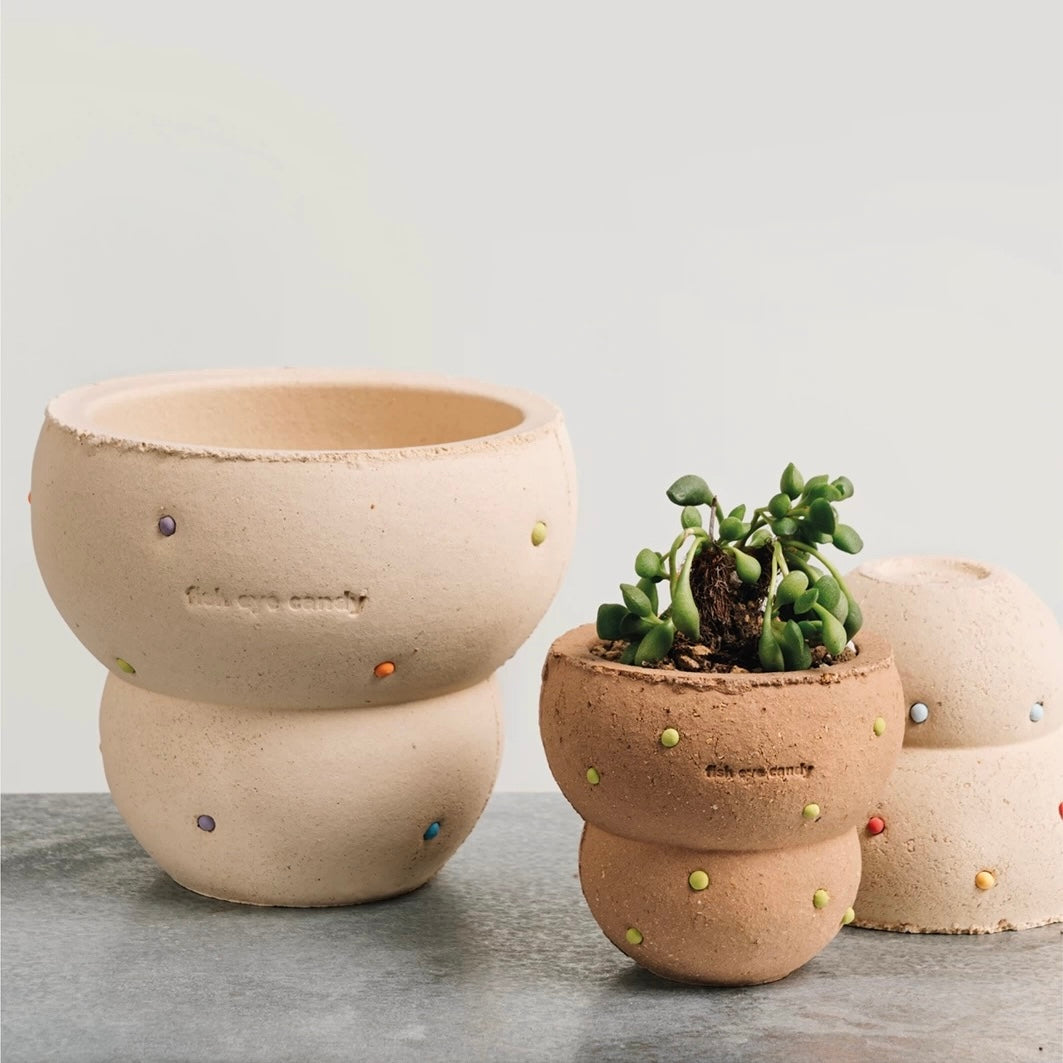 The Bagel Planter